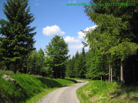 Flair- & Berghotel Talblick 10