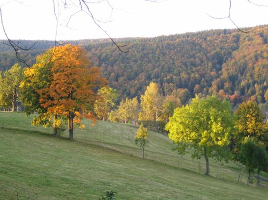 Flair- & Berghotel Talblick 4