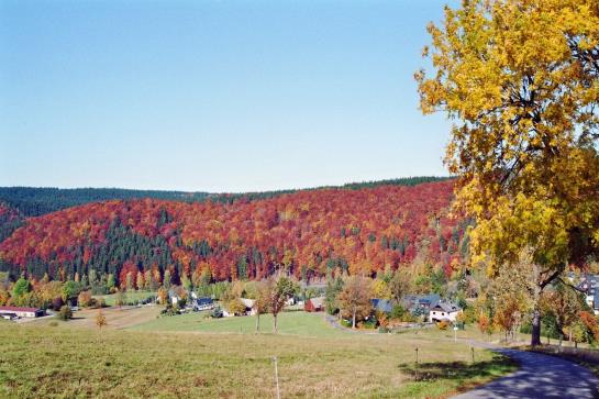 Flair- & Berghotel Talblick 7
