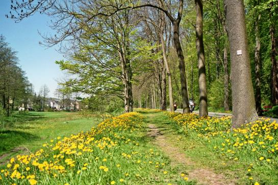 Flair- & Berghotel Talblick 9