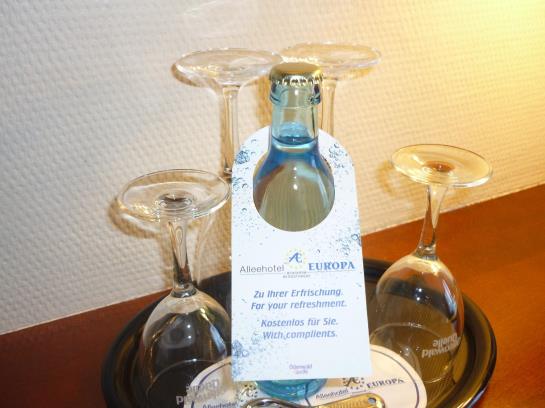 Alleehotel Europa 20