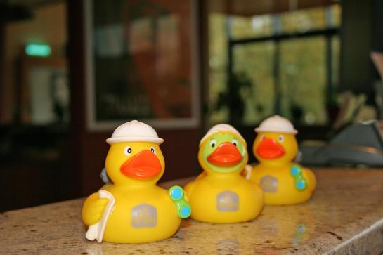 Amedia Hotel Zwickau 19