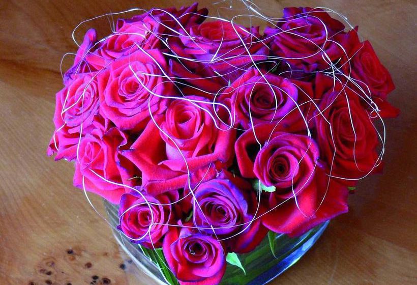 Best Western Plus Plaza Hotel Darmstadt