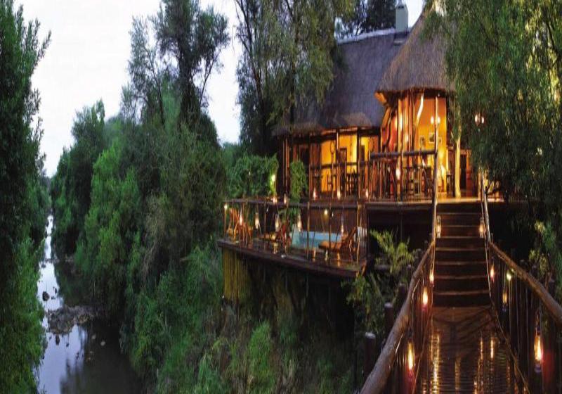Hotel Madikwe River Lodge 12