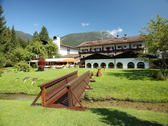 Hotel Alpenhof 12