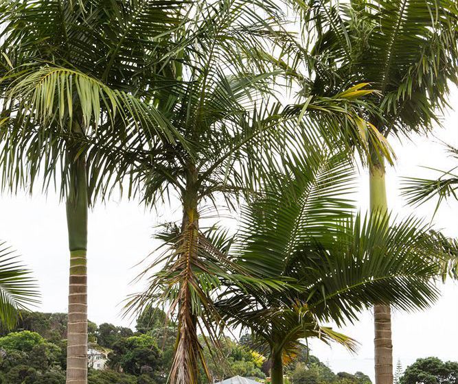 Waiheke Island Resort 16