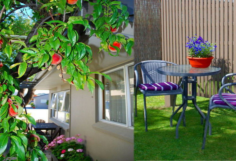 Almond Court Motel 12