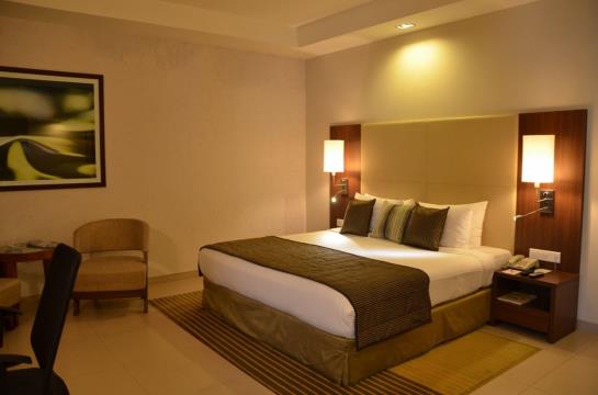 Hotel Grand Mercure Vadodara Surya Palace 19