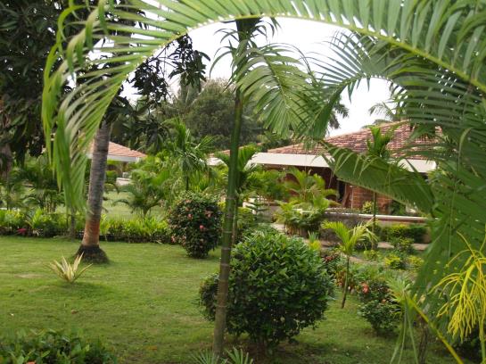 Toshali Sands Puri Resort 15