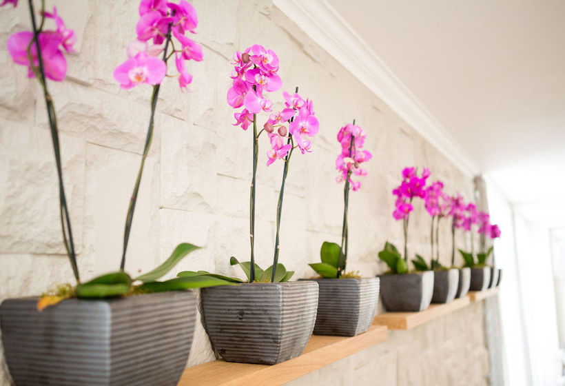 Hotel NH The Lord Charles 19