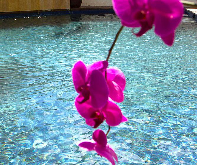 Hotel Bantry Bay Luxury Suites 7