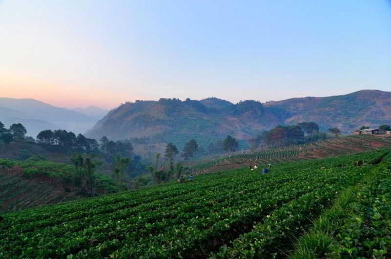 Angkhang Nature Resort 9