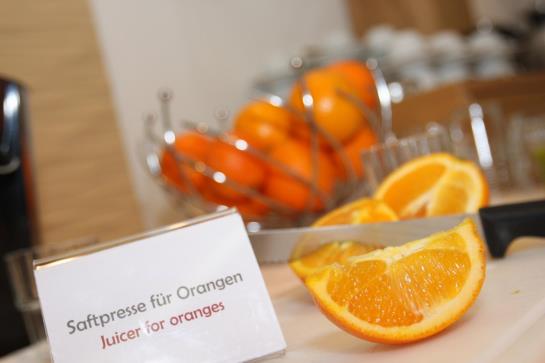 Altstadt Hotel Passau 19