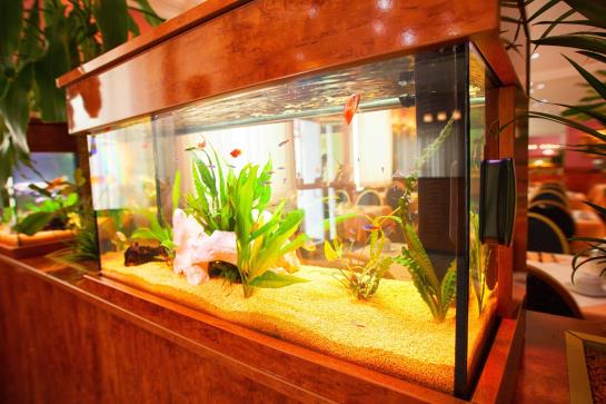 Hotel Atlanta Darmstadt