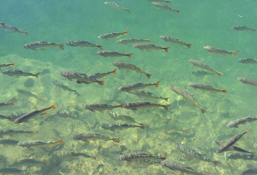 Araras Hotel Rural  | Bonito | Mato Grosso do Sul | Brasil 17