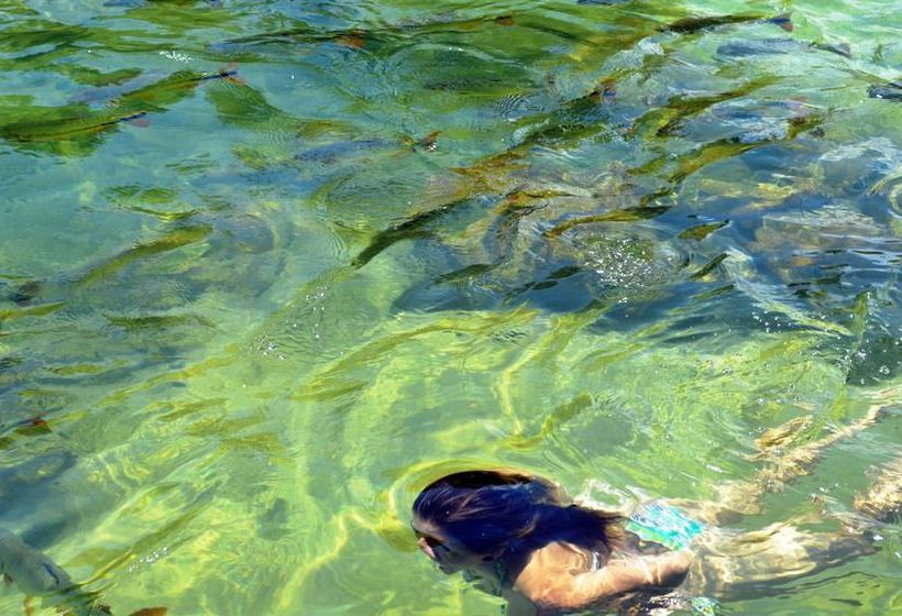 Araras Hotel Rural  | Bonito | Mato Grosso do Sul | Brasil 8