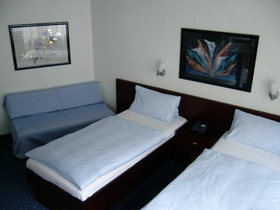 Hotel Berliner Hof 2