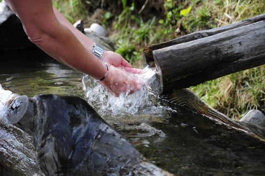 Hotel Best Western Hofgut Sternen 9