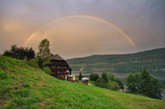 Boutique Hotel Alemannenhof 14