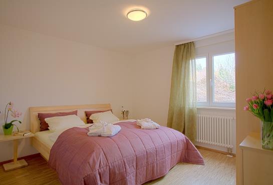 Boutique Hotel Alemannenhof 20