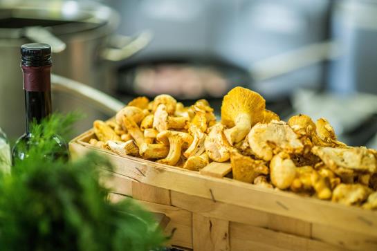 Hotel Glockenhof Eisenach 16