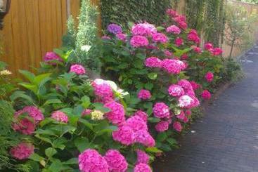 Hotel Refrather Hof 11