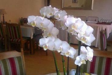 Hotel Refrather Hof 13