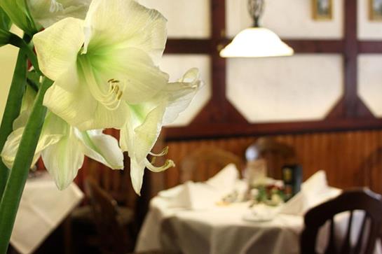 Hotel Kaiserquelle 11