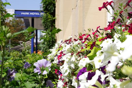 Park Hotel Post-Freiburg 7