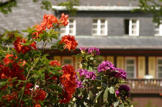 Romantik Hotel Jagdhaus Waldidyll 15