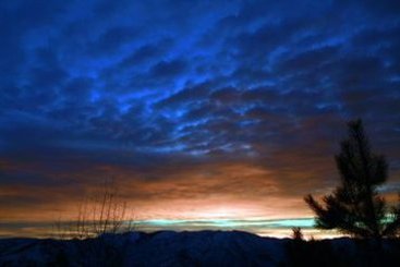 Hotel Club Mahindra White Meadows Manali 9