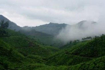 Woodlands Hotel Private 4