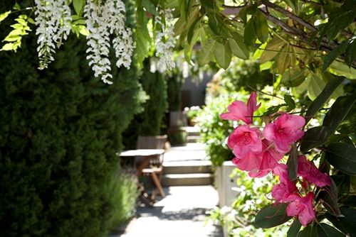 Garden Court Suites & Apartments 10