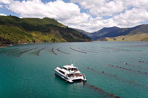 Hotel Chateau Marlborough 13