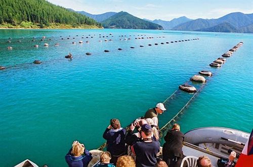 Hotel Chateau Marlborough 14