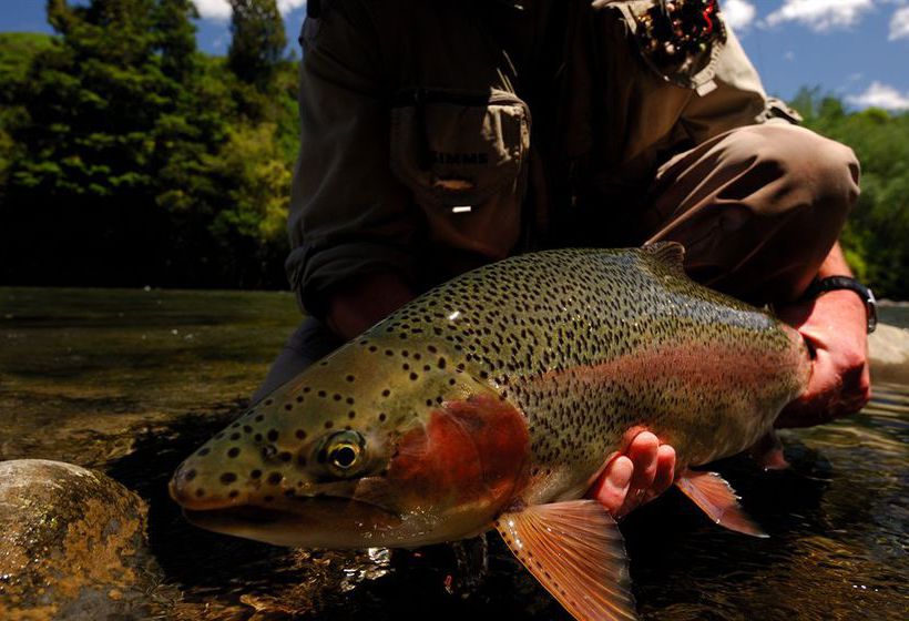 Hotel Tongariro Lodge 16