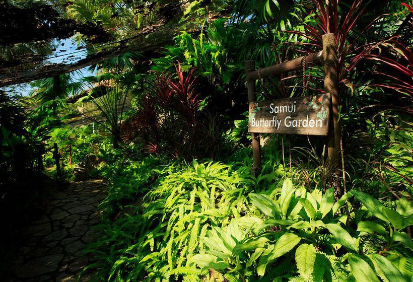 Centara Villas Samui 6