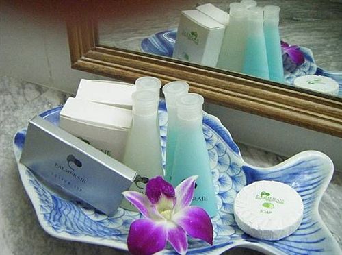 Hotel Palmeraie Beach Resort 8