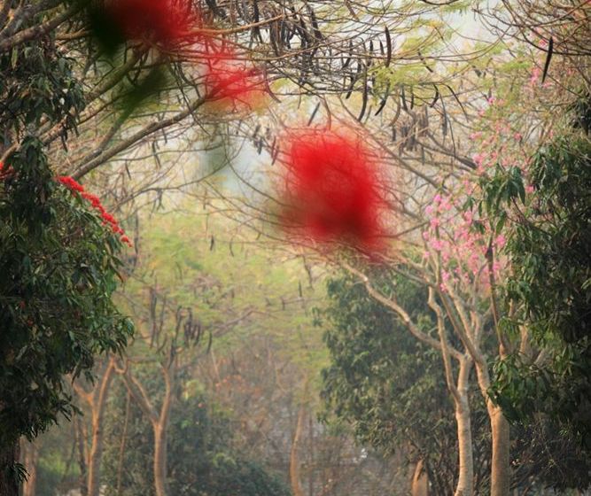 Suanthip Vana Resort 5