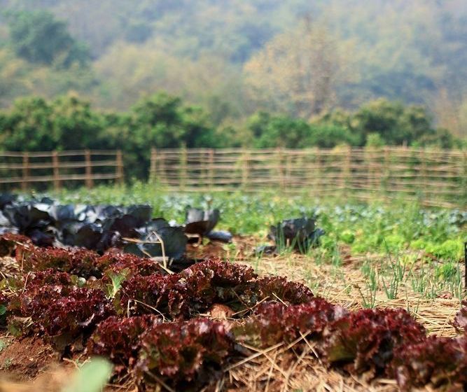 Suanthip Vana Resort 9