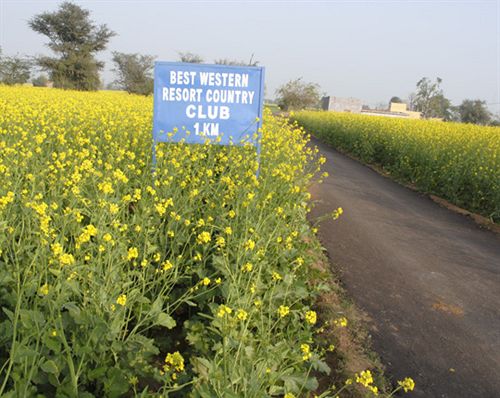 Best Western Resort Country Club 18