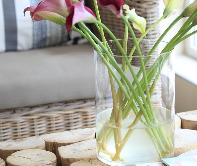 Hotel Abalone Lodge 1