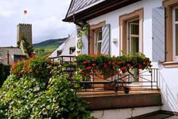 Hôtel Ruedesheimer Schloss 1