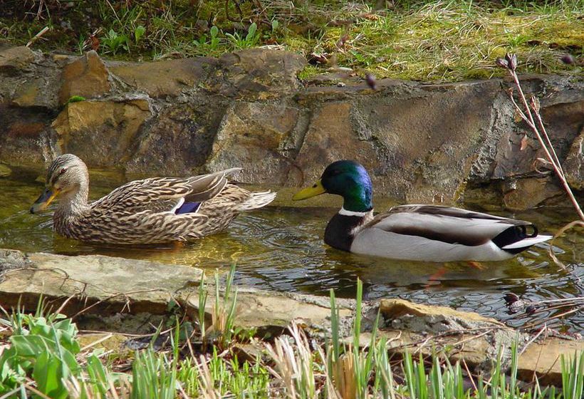 Airport Filderhotel 7