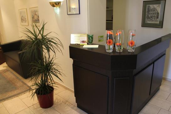 Flair Hotel Goldener Stern 8