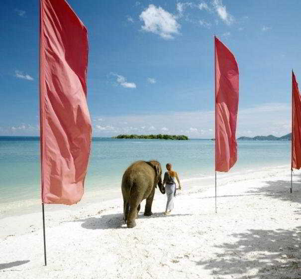 Hotel SALA Samui Chaweng Beach Resort 18