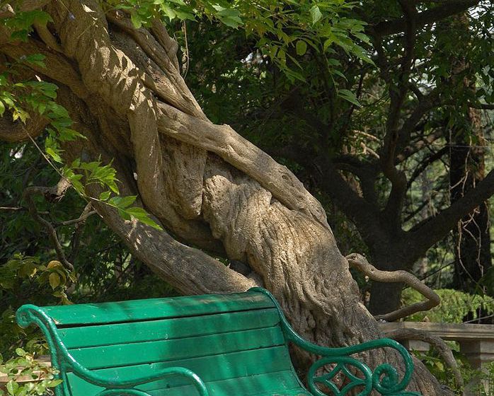 Hotel Woodville Palace 11