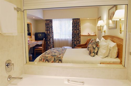 Hotel City Lodge Pinelands 15