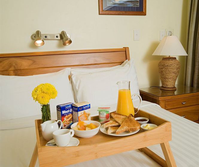 Hotel Best Western Ellerslie International Motor Inn 9