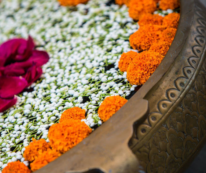 Marriott Executive Apartments Lakeside Chalet 15